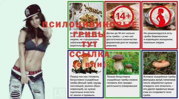прущие крисы Бугульма