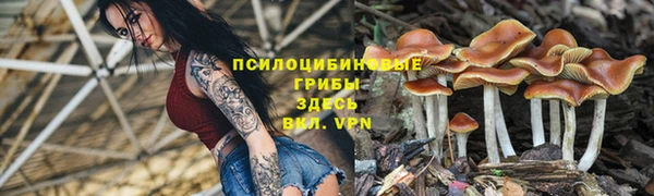 a pvp Верхнеуральск