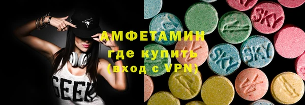 спиды Богородицк