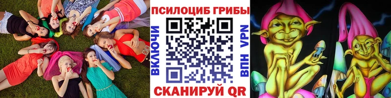 Галлюциногенные грибы Psilocybine cubensis  Енисейск 